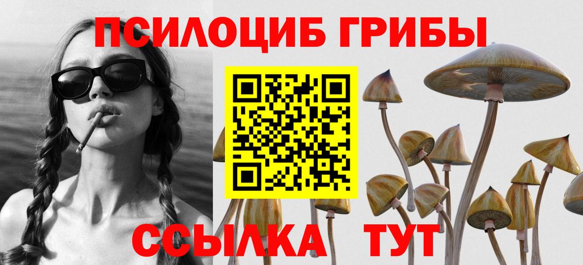 Псилоцибиновые грибы прущие грибы  Вход с VPN  Галлюциногенные грибы прущие грибы  Донецк 