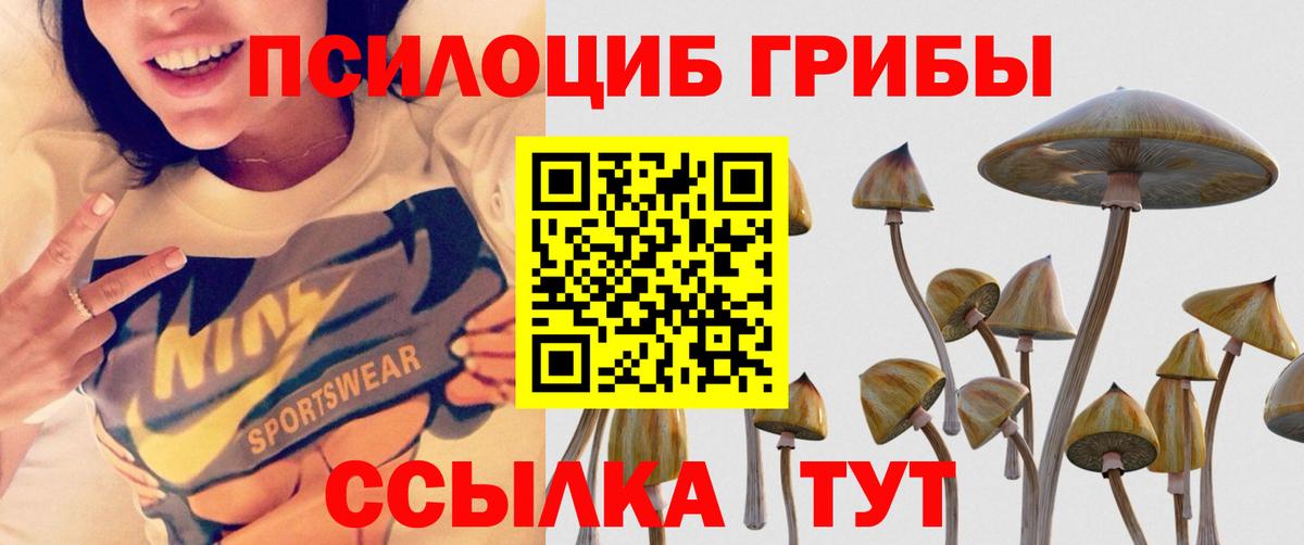 Галлюциногенные грибы MAGIC MUSHROOMS Донецк