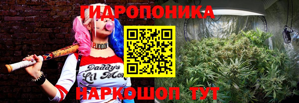 Конопля SATIVA & INDICA  Вход с VPN  Марихуана Ganja  Донецк  Бошки марихуана семена 